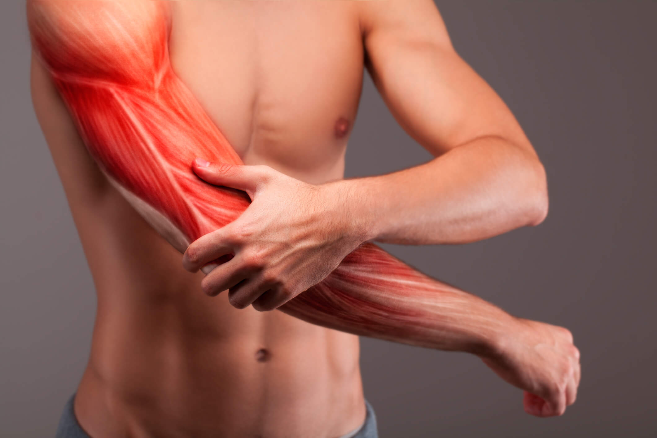 Você está perdendo massa muscular? Saiba por que e como evitar o catabolismo!