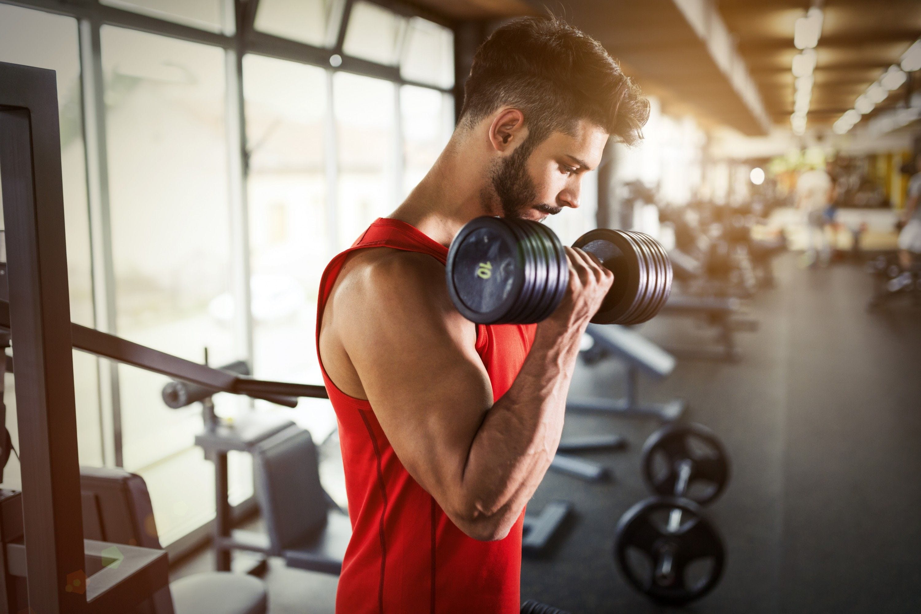 Saiba o que significa no pain no gain e se a máxima é verdadeira